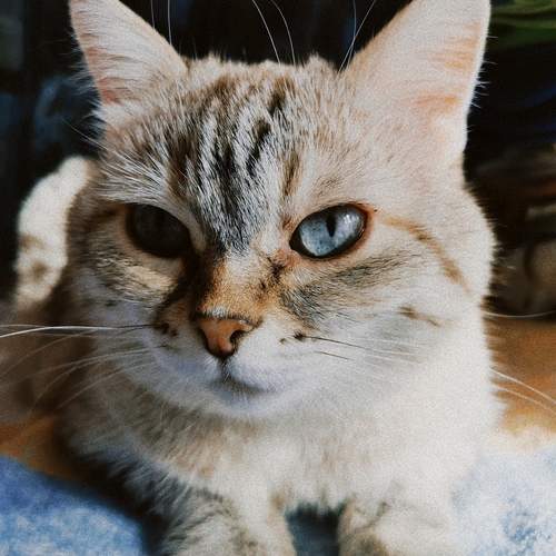 Photo #12248081