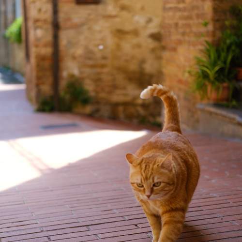 Photo #12248117