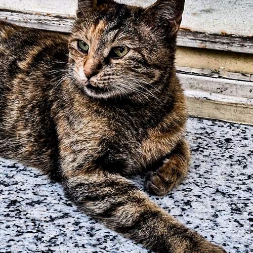 Photo #12248165