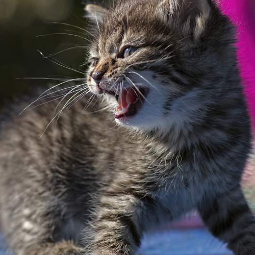 Photo #12248169