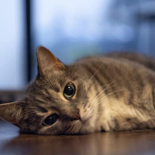 Photo #12248286