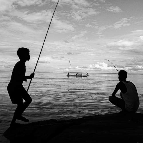 Photo #12248646