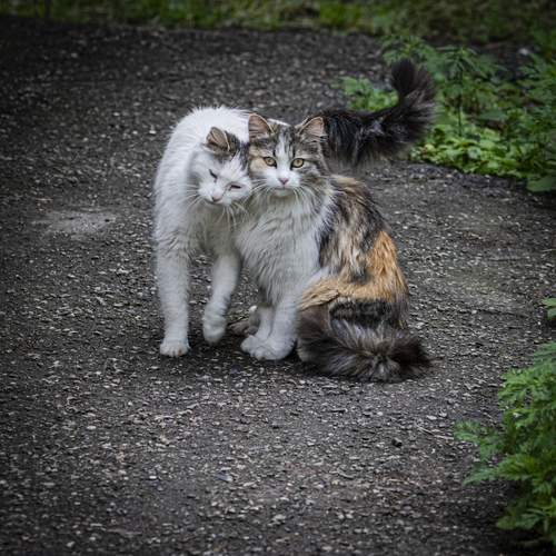 Photo #12248692