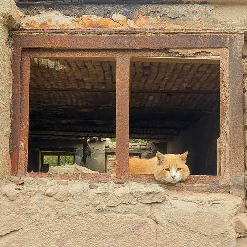 The Lonely Guard of the Abandoned