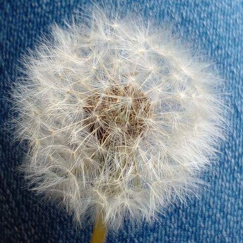 Photo #12249002