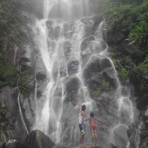 Photo #12249273
