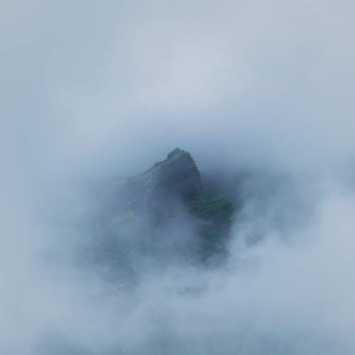 Photo #12249927