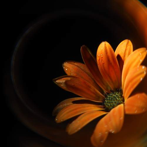 Photo #12249969