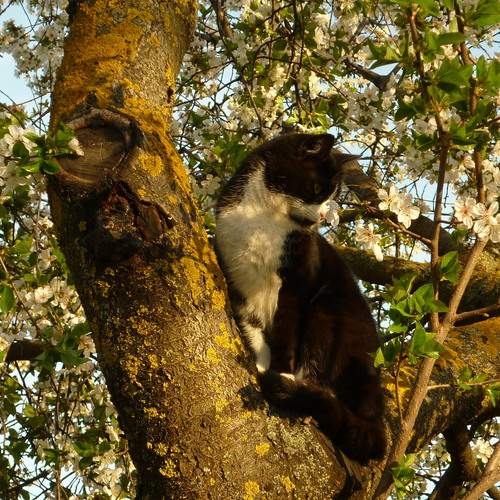Photo #12250185