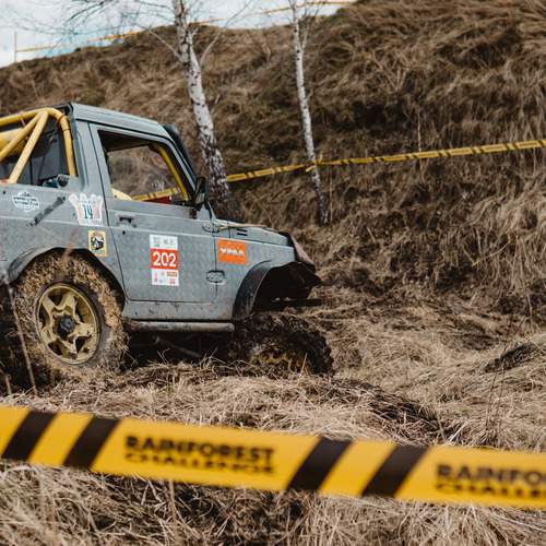 Ползущая каракатица