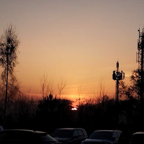 Photo #12250868