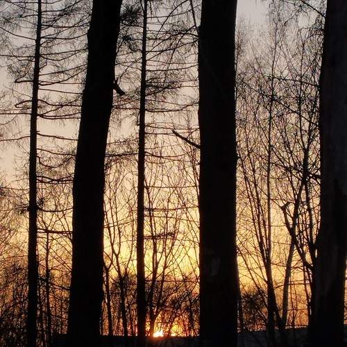 Photo #12250874