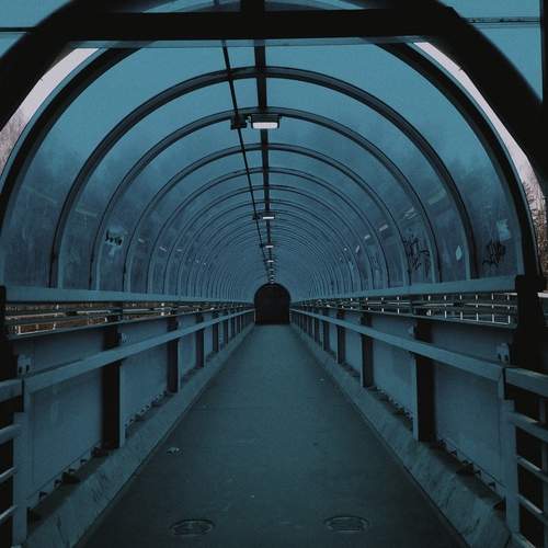 Photo #12250875
