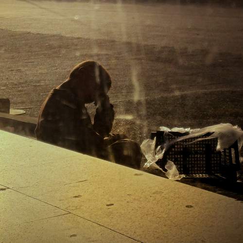 Where the scilence Thinks loud