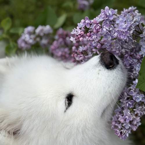Photo #12250942