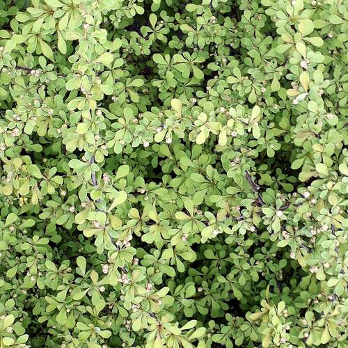 Photo #12250997