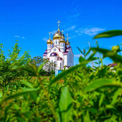 Photo #12251104