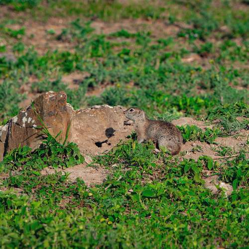 Photo #12251111