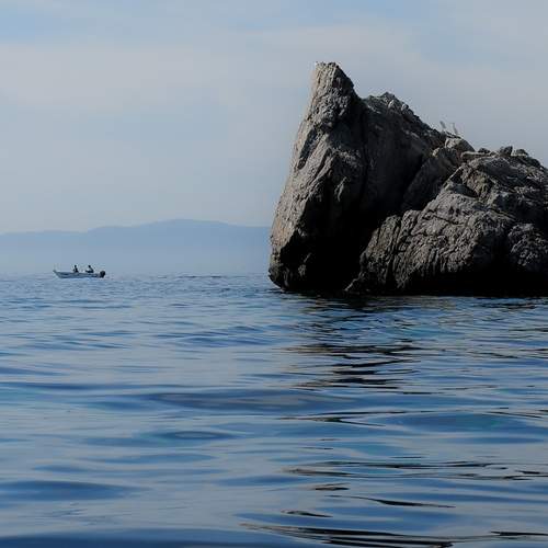 Photo #12251198