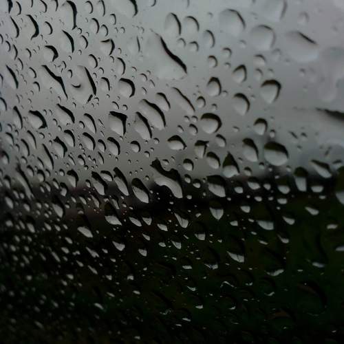 Photo #12251203