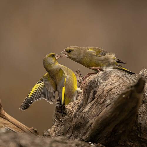 Photo #12251773
