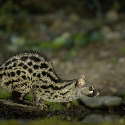 Photo #12251789
