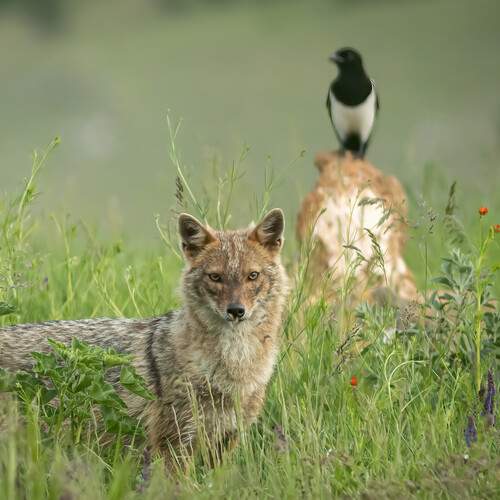 Photo #12251814