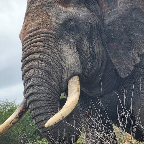 Photo #12251969