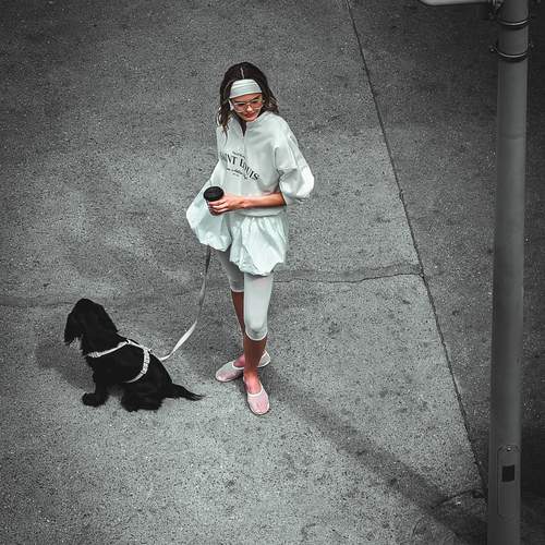 Photo #12252044