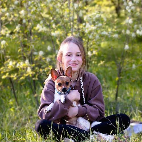 Photo #12252122