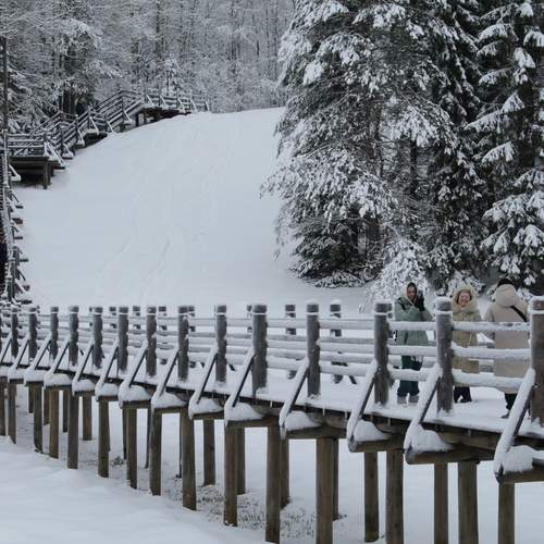 Photo #12252478