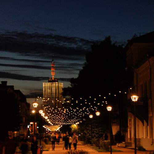 Photo #12252498