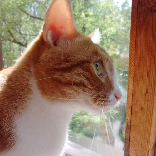 Photo #12252725
