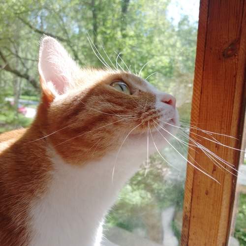 Photo #12252731