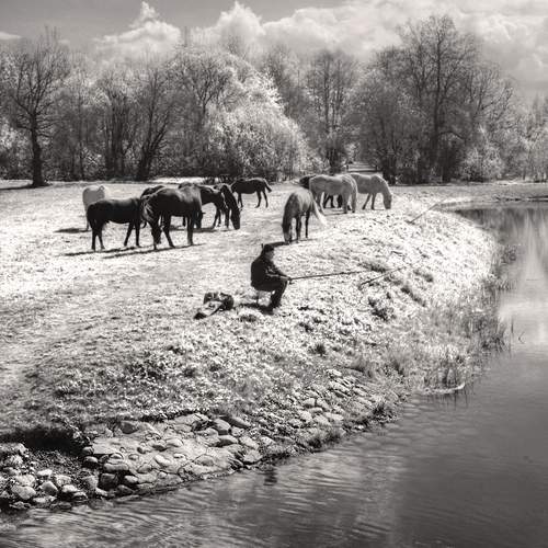Photo #12252764