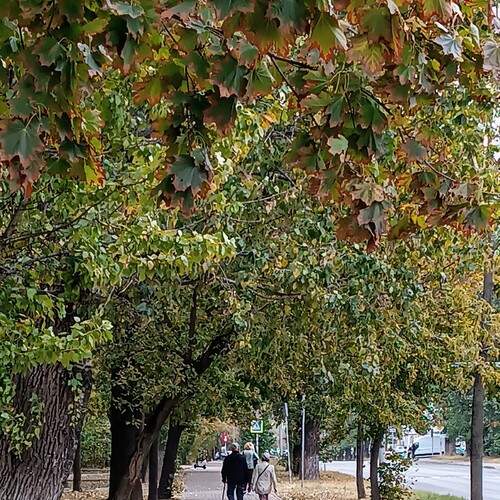 Photo #12252922