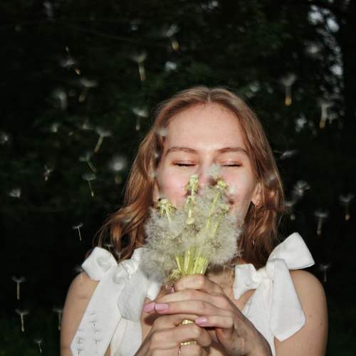 Photo #12253120