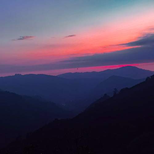 Photo #12253156