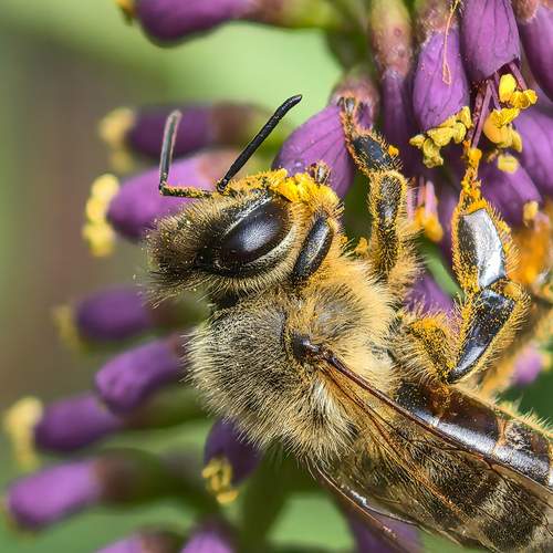Photo #12253587