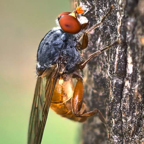 Photo #12253593