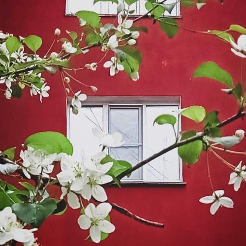 Photo #12253660