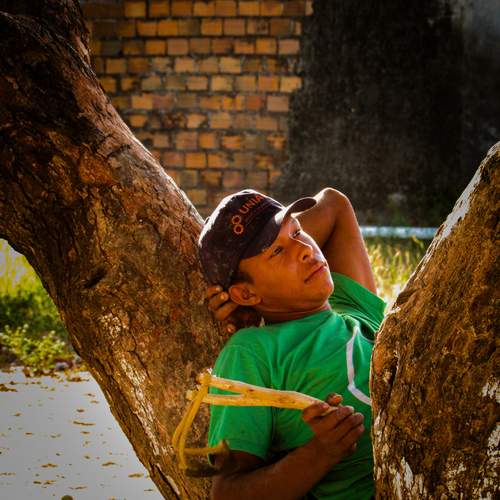 Photo #12253689