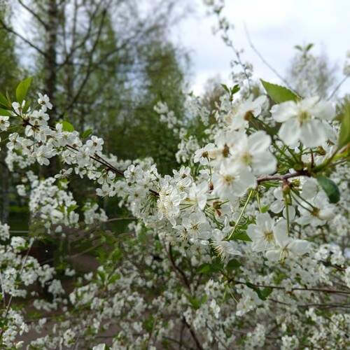 Photo #12253737