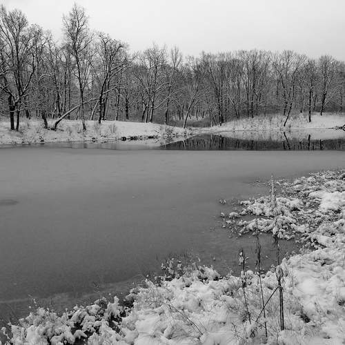 Photo #12253771
