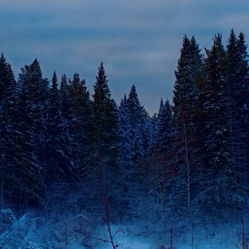 Photo #12253915