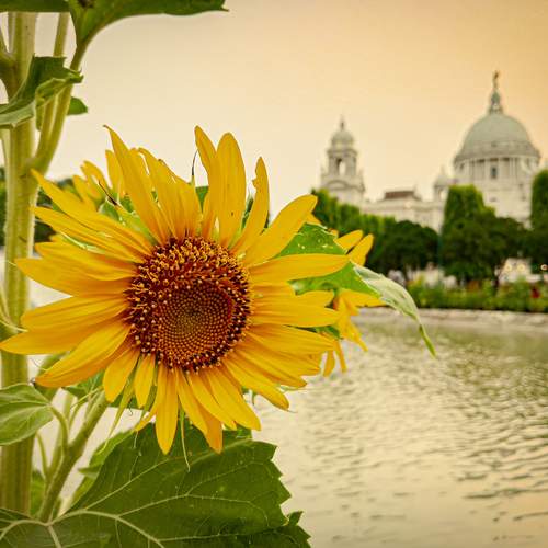 Photo #12253926