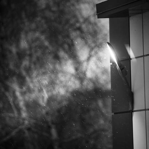 Photo #12254560