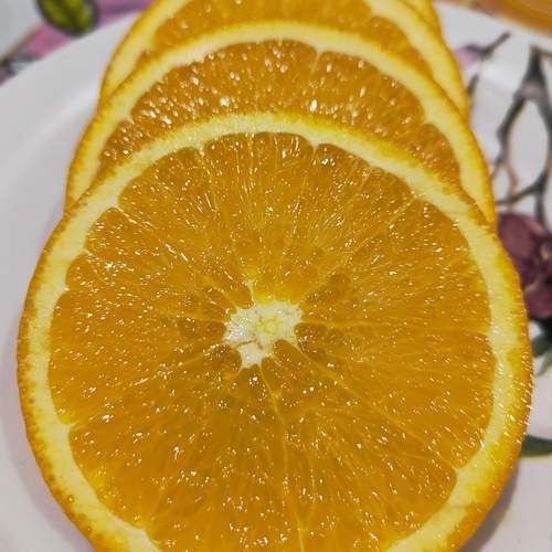 Photo #12254592