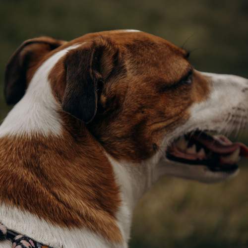 Photo #12254626