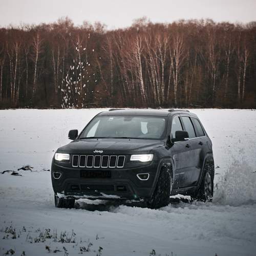 Photo #12254664